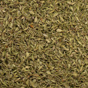 Plante Thym Bio
