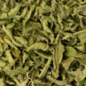 Plante Verveine Bio