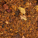 Rooïbos Jardin du Prieuré Bio