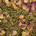 Tisane Remède de Sorcière® Bio