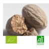 Muscade poudre 25g Bio*