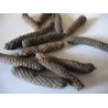 Poivre long 40g qualité