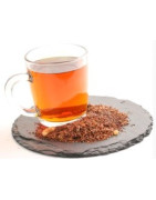 Rooibos