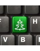 Thés, Tisanes Noël