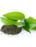 Thés verts Aromatisés aux épices